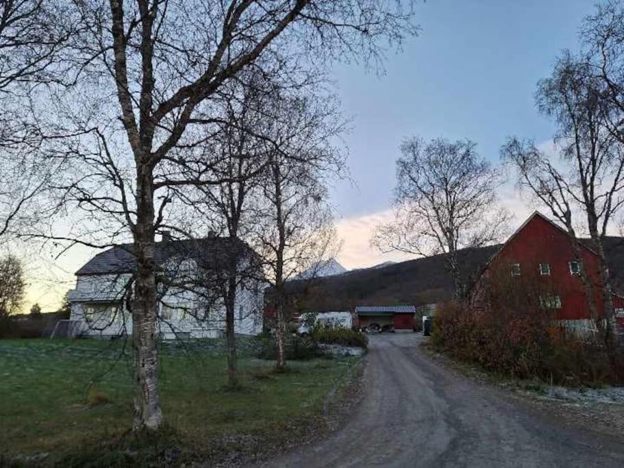 Farmroom With Sauna And Aurora Нарвик Экстерьер фото