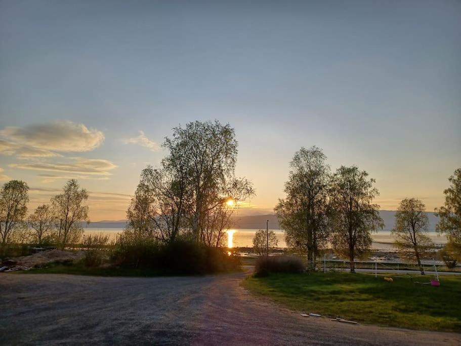 Farmroom With Sauna And Aurora Нарвик Экстерьер фото